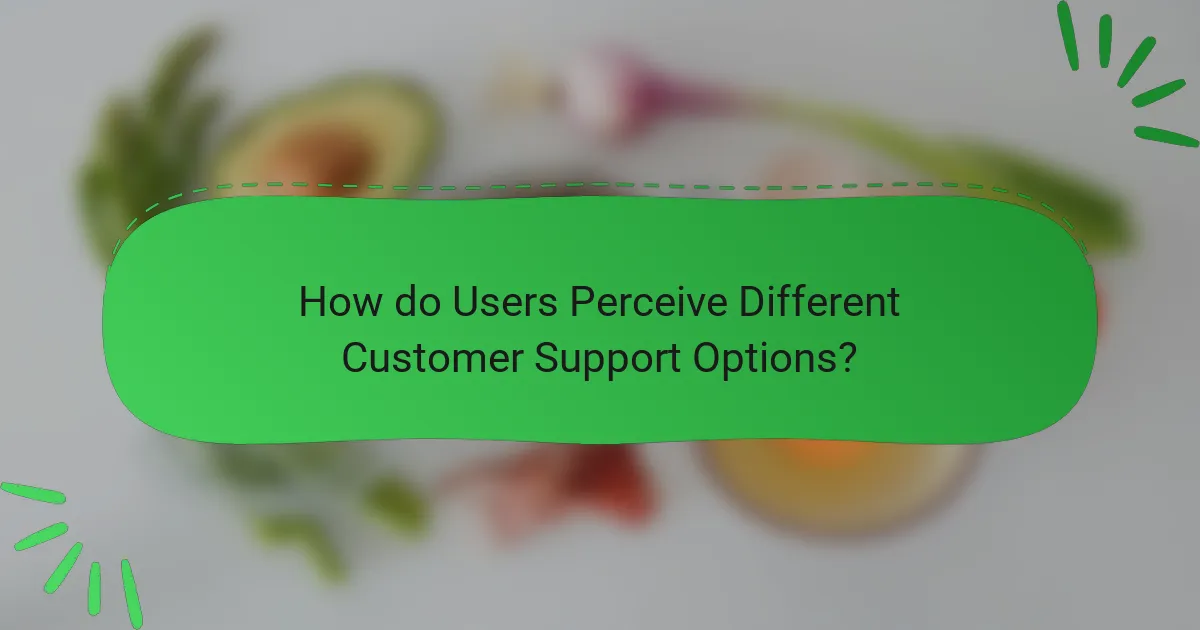 How do Users Perceive Different Customer Support Options?
