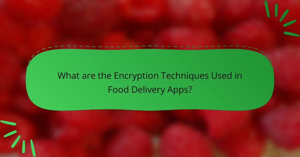 What are the Encryption Techniques Used in Food Delivery Apps?
