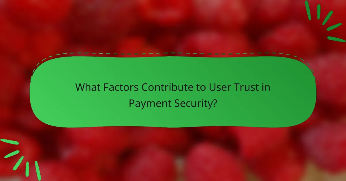 What Factors Contribute to User Trust in Payment Security?